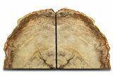 Tall Polished Petrified Wood Bookends - Madagascar #338351-1